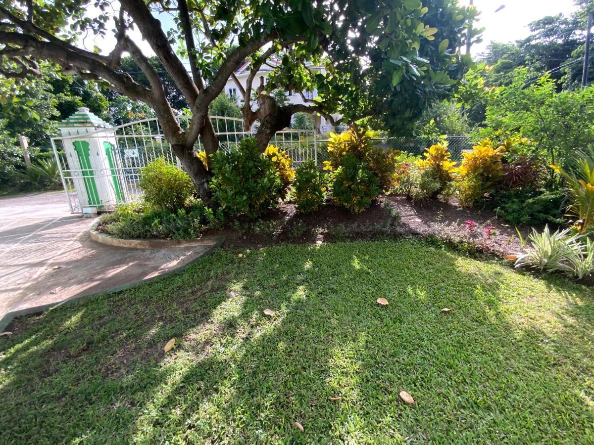 Marveys Place Apartment Castries Exterior photo